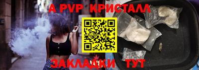 индика Будённовск