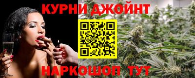 индика Будённовск