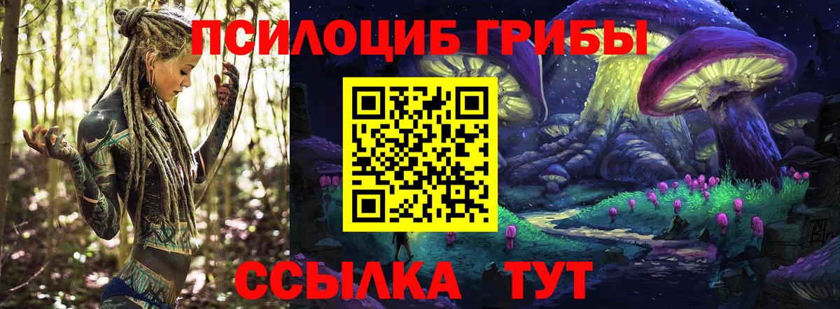 Самара  Псилоцибиновые грибы ЛСД  Галлюциногенные грибы Magic Shrooms  Вход с VPN 