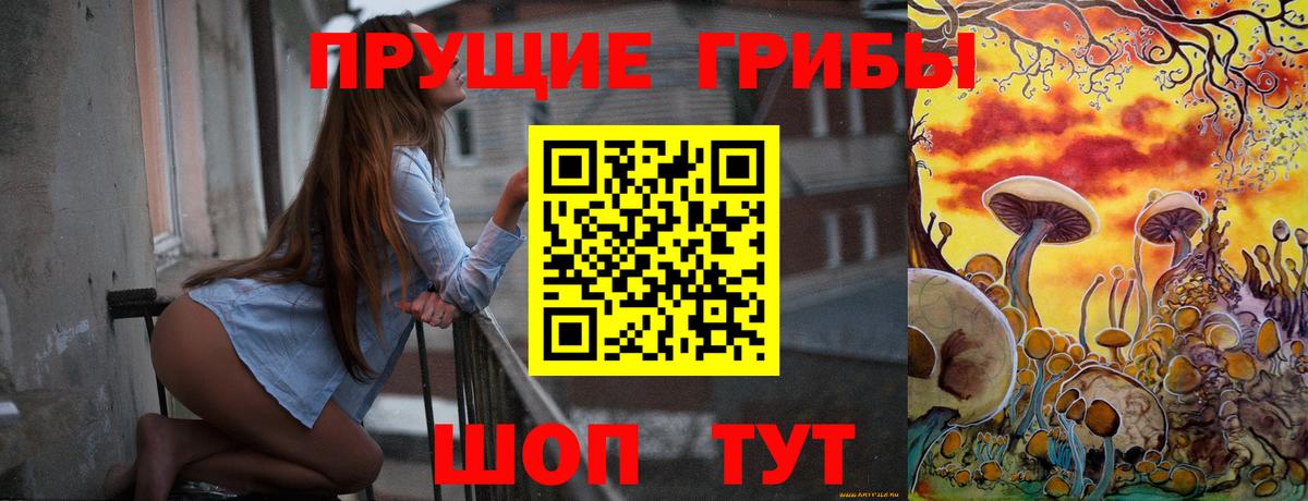 Псилоцибиновые грибы мицелий Самара